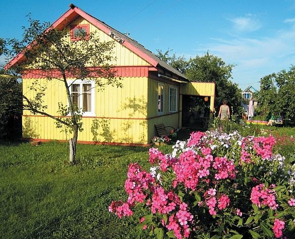 Иллюстрация к книге — Цветы. Лучше, чем у всех. Секреты, хитрости, подсказки умного садовода. Лунный календарь: самый удобный и полезный [autogen_ebook_id120.jpg]