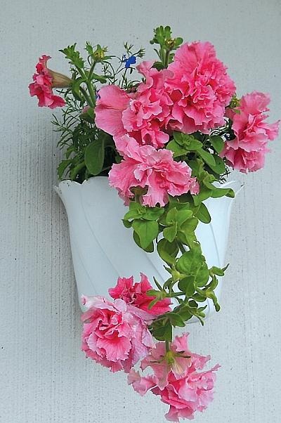 Иллюстрация к книге — Цветы. Лучше, чем у всех. Секреты, хитрости, подсказки умного садовода. Лунный календарь: самый удобный и полезный [autogen_ebook_id127.jpg]