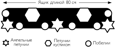 Иллюстрация к книге — Цветы. Лучше, чем у всех. Секреты, хитрости, подсказки умного садовода. Лунный календарь: самый удобный и полезный [autogen_ebook_id19.jpg]