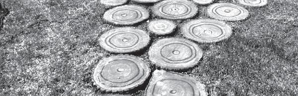 Иллюстрация к книге — Цветы. Лучше, чем у всех. Секреты, хитрости, подсказки умного садовода. Лунный календарь: самый удобный и полезный [autogen_ebook_id38.jpg]