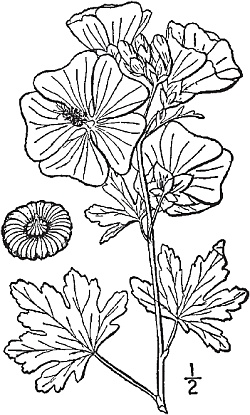 Иллюстрация к книге — Цветы. Лучше, чем у всех. Секреты, хитрости, подсказки умного садовода. Лунный календарь: самый удобный и полезный [autogen_ebook_id43.jpg]