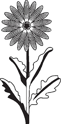 Иллюстрация к книге — Цветы. Лучше, чем у всех. Секреты, хитрости, подсказки умного садовода. Лунный календарь: самый удобный и полезный [autogen_ebook_id51.jpg]