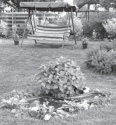 Иллюстрация к книге — Цветы. Лучше, чем у всех. Секреты, хитрости, подсказки умного садовода. Лунный календарь: самый удобный и полезный [autogen_ebook_id65.jpg]