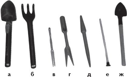 Иллюстрация к книге — Рассада. Лучше, чем у всех! Секреты, хитрости, подсказки умного садовода. Лунный календарь. Самый удобный и полезный [autogen_ebook_id0.jpg]