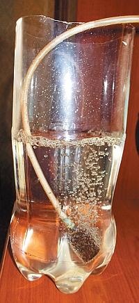 Иллюстрация к книге — Рассада. Лучше, чем у всех! Секреты, хитрости, подсказки умного садовода. Лунный календарь. Самый удобный и полезный [autogen_ebook_id111.jpg]