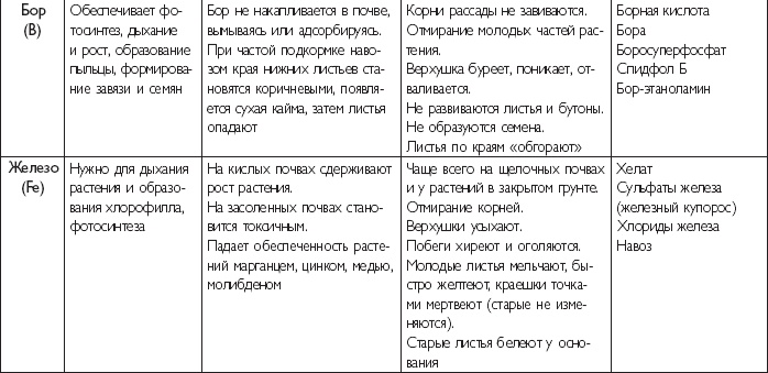 Иллюстрация к книге — Рассада. Лучше, чем у всех! Секреты, хитрости, подсказки умного садовода. Лунный календарь. Самый удобный и полезный [autogen_ebook_id13.jpg]