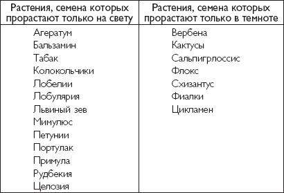 Иллюстрация к книге — Рассада. Лучше, чем у всех! Секреты, хитрости, подсказки умного садовода. Лунный календарь. Самый удобный и полезный [autogen_ebook_id22.jpg]