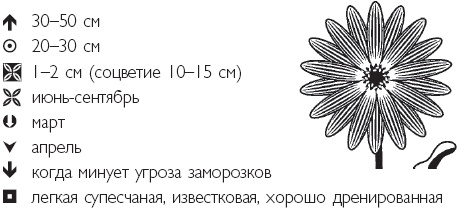 Иллюстрация к книге — Рассада. Лучше, чем у всех! Секреты, хитрости, подсказки умного садовода. Лунный календарь. Самый удобный и полезный [autogen_ebook_id30.jpg]