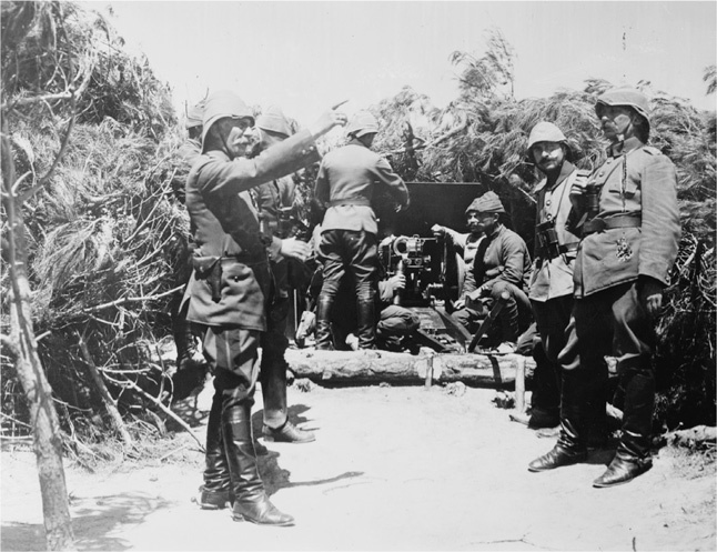 Иллюстрация к книге — Падение Османской империи. Первая мировая война на Ближнем Востоке, 1914-1920 [i_014.jpg]