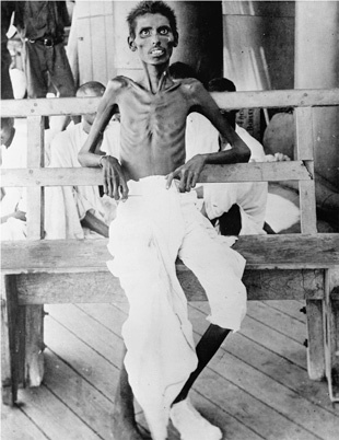 Иллюстрация к книге — Падение Османской империи. Первая мировая война на Ближнем Востоке, 1914-1920 [i_028.jpg]