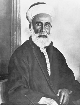 Иллюстрация к книге — Падение Османской империи. Первая мировая война на Ближнем Востоке, 1914-1920 [i_029.jpg]