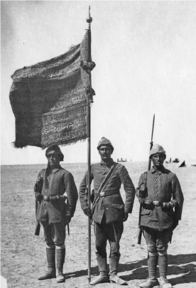 Иллюстрация к книге — Падение Османской империи. Первая мировая война на Ближнем Востоке, 1914-1920 [i_034.jpg]