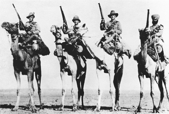 Иллюстрация к книге — Падение Османской империи. Первая мировая война на Ближнем Востоке, 1914-1920 [i_035.jpg]