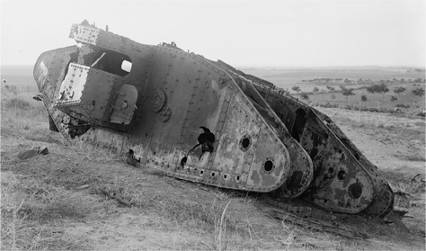 Иллюстрация к книге — Падение Османской империи. Первая мировая война на Ближнем Востоке, 1914-1920 [i_036.jpg]