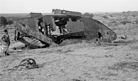 Иллюстрация к книге — Падение Османской империи. Первая мировая война на Ближнем Востоке, 1914-1920 [i_037.jpg]