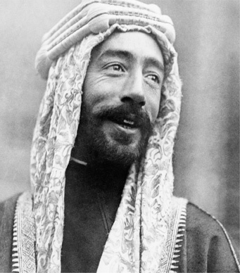 Иллюстрация к книге — Падение Османской империи. Первая мировая война на Ближнем Востоке, 1914-1920 [i_046.jpg]