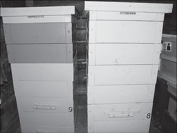 Иллюстрация к книге — Пчеловодство для начинающих [_06.jpg]