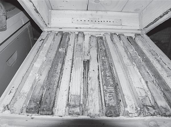 Иллюстрация к книге — Пчеловодство для начинающих [_07.jpg]