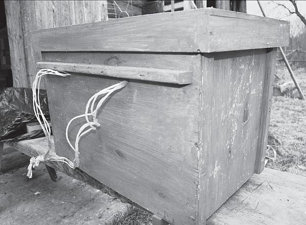 Иллюстрация к книге — Пчеловодство для начинающих [_09.jpg]