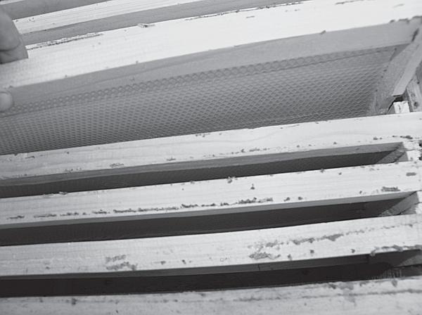 Иллюстрация к книге — Пчеловодство для начинающих [_10.jpg]