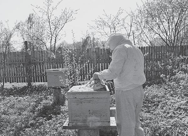 Иллюстрация к книге — Пчеловодство для начинающих [_107.jpg]