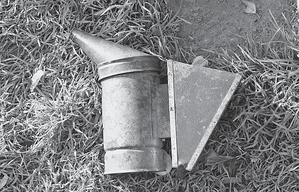 Иллюстрация к книге — Пчеловодство для начинающих [_11.jpg]