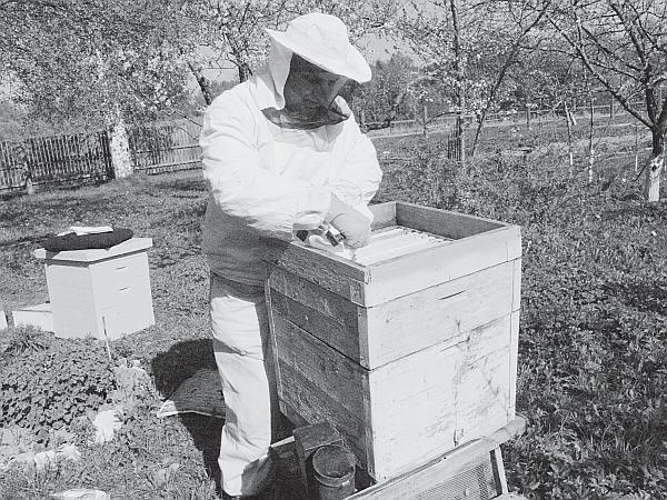 Иллюстрация к книге — Пчеловодство для начинающих [_110.jpg]