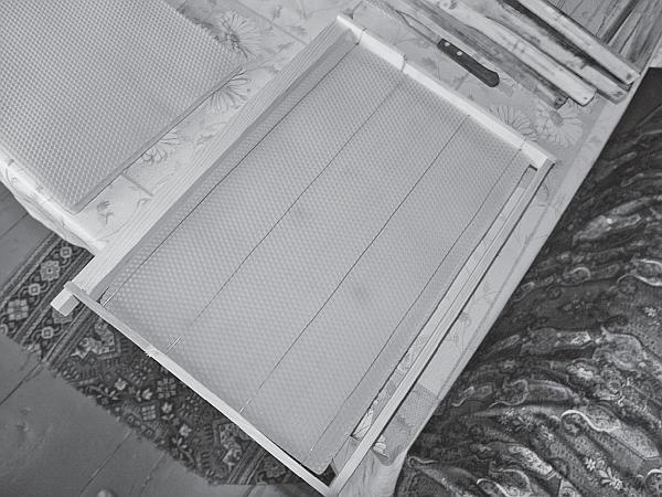 Иллюстрация к книге — Пчеловодство для начинающих [_145.jpg]