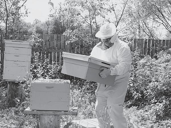 Иллюстрация к книге — Пчеловодство для начинающих [_165.jpg]