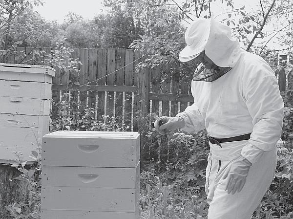 Иллюстрация к книге — Пчеловодство для начинающих [_167.jpg]