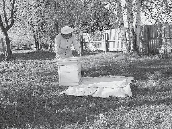 Иллюстрация к книге — Пчеловодство для начинающих [_173.jpg]