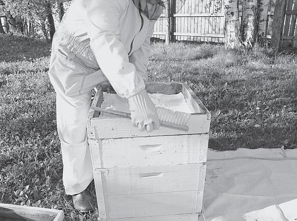 Иллюстрация к книге — Пчеловодство для начинающих [_174.jpg]