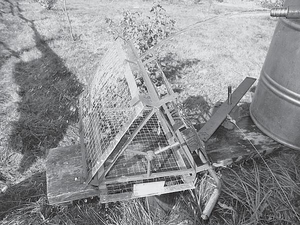 Иллюстрация к книге — Пчеловодство для начинающих [_185.jpg]