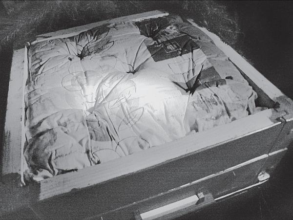 Иллюстрация к книге — Пчеловодство для начинающих [_198.jpg]