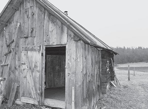 Иллюстрация к книге — Пчеловодство для начинающих [_202.jpg]