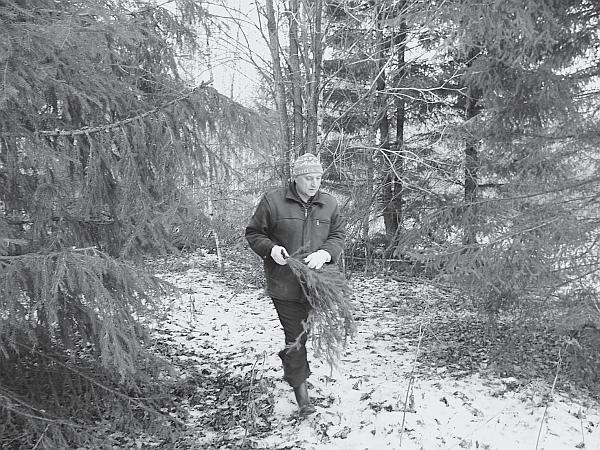 Иллюстрация к книге — Пчеловодство для начинающих [_206.jpg]