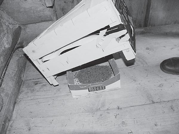 Иллюстрация к книге — Пчеловодство для начинающих [_213.jpg]