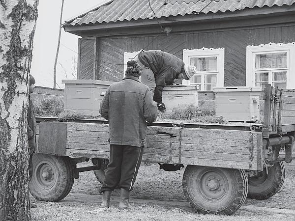 Иллюстрация к книге — Пчеловодство для начинающих [_220.jpg]