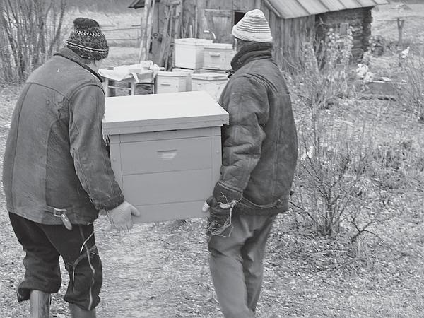 Иллюстрация к книге — Пчеловодство для начинающих [_221.jpg]