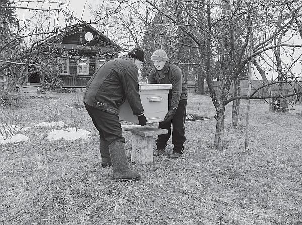 Иллюстрация к книге — Пчеловодство для начинающих [_223.jpg]