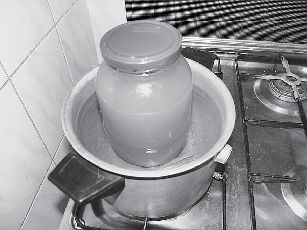 Иллюстрация к книге — Пчеловодство для начинающих [_226.jpg]