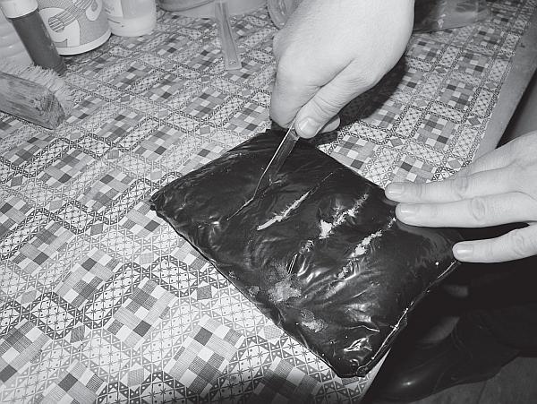 Иллюстрация к книге — Пчеловодство для начинающих [_237.jpg]