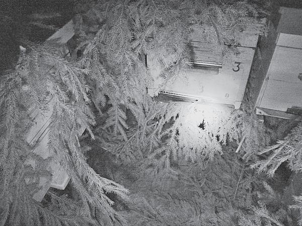 Иллюстрация к книге — Пчеловодство для начинающих [_238.jpg]