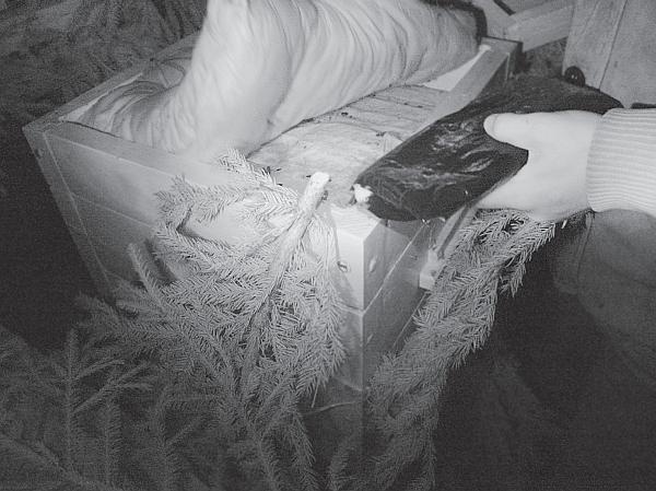 Иллюстрация к книге — Пчеловодство для начинающих [_240.jpg]