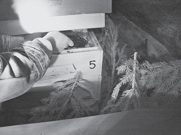 Иллюстрация к книге — Пчеловодство для начинающих [_241.jpg]