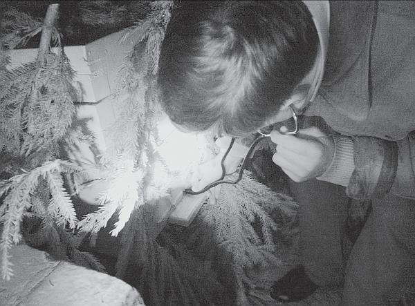 Иллюстрация к книге — Пчеловодство для начинающих [_244.jpg]