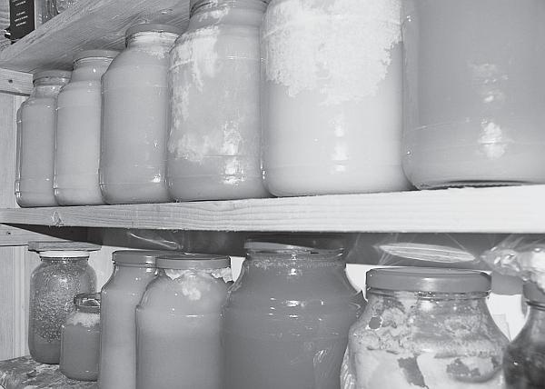 Иллюстрация к книге — Пчеловодство для начинающих [_245.jpg]