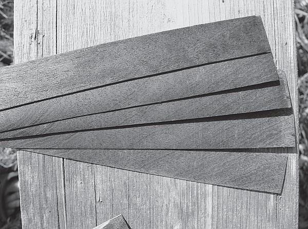 Иллюстрация к книге — Пчеловодство для начинающих [_250.jpg]