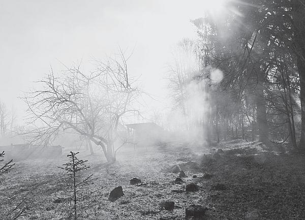 Иллюстрация к книге — Пчеловодство для начинающих [_261.jpg]