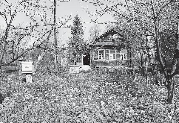 Иллюстрация к книге — Пчеловодство для начинающих [_264.jpg]